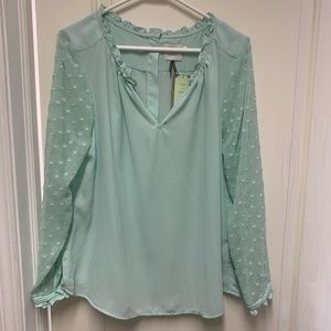 Anthropologie top—tags on! Great details!